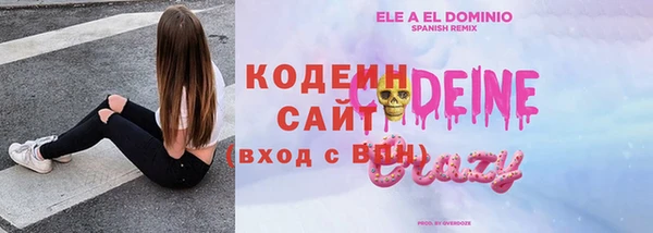 мдпв Домодедово