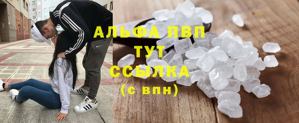 дживик Кинешма