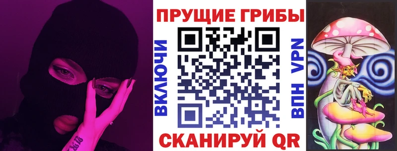 Купить где  Билибино  Галлюциногенные грибы Cubensis 